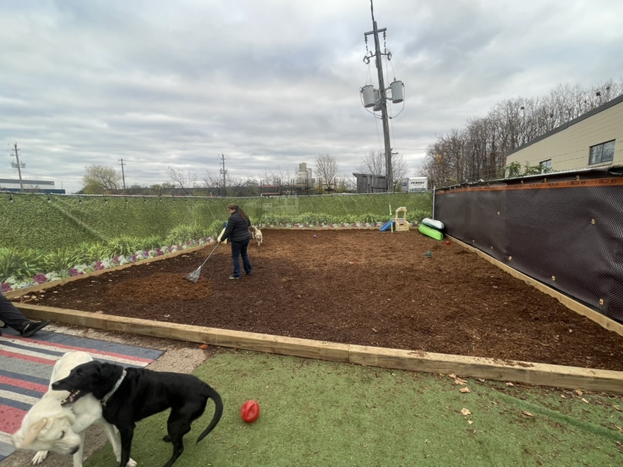PlaydayPups-facility-yard PlaydayPups-facility-yard